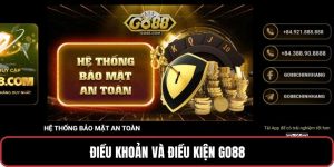 Điều khoản và điều kiện